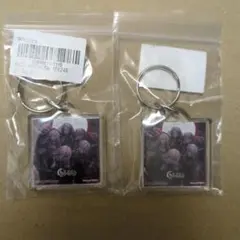 Ave Mujica アクリルキーホルダー 2個セット