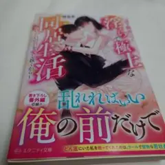 【H024】一途な御曹司と淫らで極上な同居生活 囚われの君を愛し抜くから