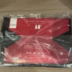 Item thumbnail for item d5f0d05f-e738-4f9c-bd15-e20d9912d883