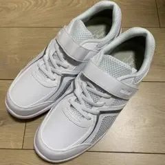 Item thumbnail for item 709180de-60a3-4159-b5f7-df18476cb01b