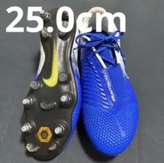 Morelia DNA 4月14日までの出品なのでよろしくお願いします MORELIA DNA JAPAN