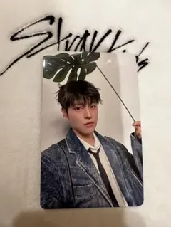 スンミン　スキズ　5/11 エコパ　2日目　会場限定　トレカ　CD購入者特典