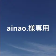 ainao.様 リクエスト 2点 まとめ商品