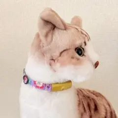 Catlog 交換ベルトМLサイズ4本セット - メルカリ