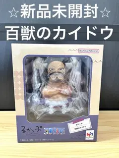 カイドウ アニメ
