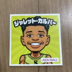 NBA ジャレット カルバー 世界限定60枚☆サイン入RC 2025年最新】ジャレットカルバーの人気アイテム - メルカリ