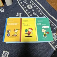 フランス版 PEANUTS 漫画集 3冊セット