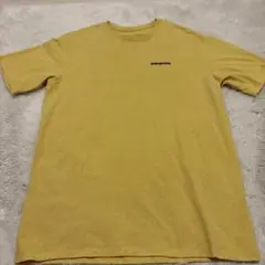 パタゴニア tシャツレディース
