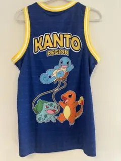 新品・非売品】JFA公式 ポケモン 限定ビブス ヒトカゲ 他1〜10セット