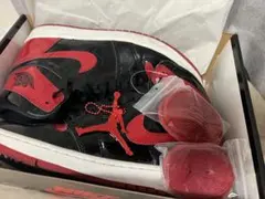 Nike Air Jordan 1 High OG 