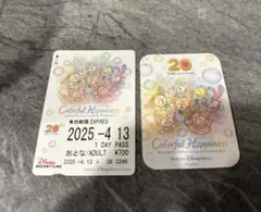 東京ディズニーリゾート リゾートライン フリーきっぷ 使用済