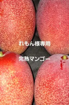 れもん様専用