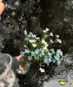 2025年最新】スカーラ ラグの人気アイテム - メルカリ