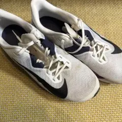 Nike ランニングシューズ ズームライバルフライ