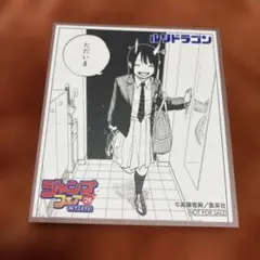 【色紙纏め買い対応】ジャンプフェア アニメイト2025 ミニ色紙　ルリドラゴン