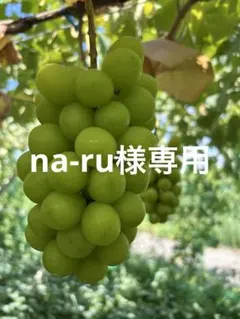 na-ru様専用　13日