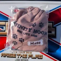 登坂広臣INFINITY MOON ライブ会場限定 プレミアムガチャ 巾着