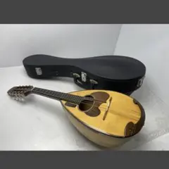 美品】SUZUKI M-30 マンドリン スズキ ハードケース付き - メルカリ