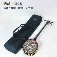 2026年最新】三味線 蛇皮の人気アイテム - メルカリ