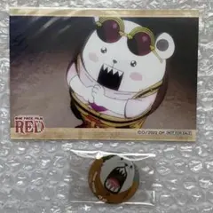 ONEPIECE ベポ ありがとうフェア ブロマイド 麦わらストア くら寿司
