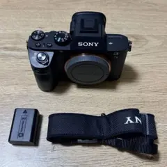 ショット数極少6724枚】SONY α7II ボディ☆おまけ付き - メルカリ