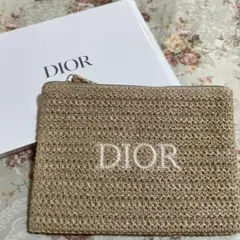 サマーポーチ　（Dior）