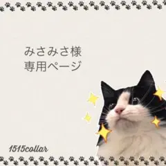みさみさ様専用ページ