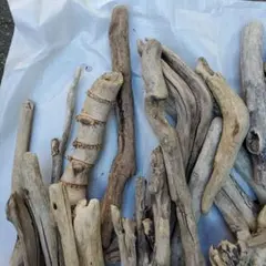 Item thumbnail for item 7cd1dd7f-7728-44e2-98be-67cf3630a9c6