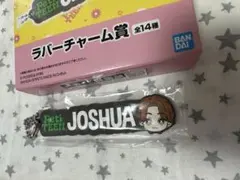 PetiTEEN Joshua