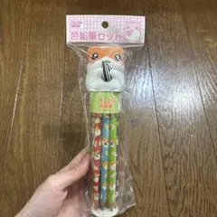 動物デザイン色鉛筆セット（12本入り）