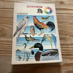 旺文社学習図鑑 鳥 昭和レトロ図鑑（カバーあり） - メルカリ