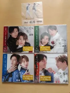 Item thumbnail for item 8ddb6976-d125-4bfc-a6b4-f1709e4760ed