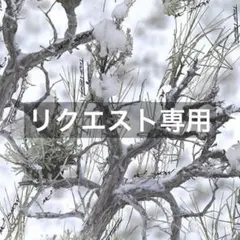 Akey様 リクエスト 2点 まとめ商品