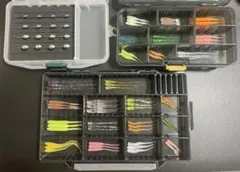 クワガタ採集セットおまけつき - メルカリ