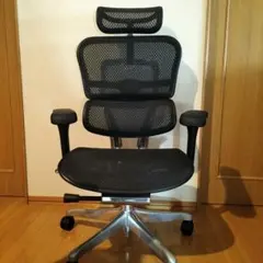 エルゴヒューマンプロ２