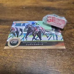 アイドルホースミニコレクション　シュヴァリエローズ　京都大賞典