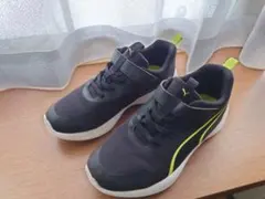 スニーカー スピードモンスターV5 PUMA22.5㎝