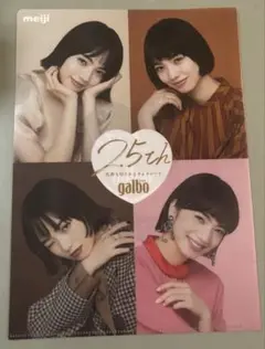 小松菜奈クリアファイル