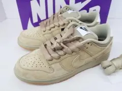 未使用 NIKE SB DUNK LOW PRO B 【G】.