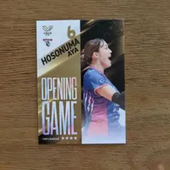 バレーボール トレカ