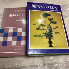 2026年最新】池坊 本の人気アイテム - メルカリ
