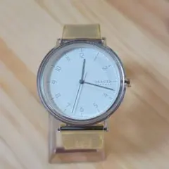 【稼働品・美品】SKAGEN SKW6605のサムネイル