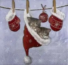 ꕤ︎︎·͜· ︎︎ Xmas動物9③・ 4枚セットペーパーナプキン