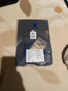 Item thumbnail for item ed213a97-911f-4de9-b9b4-2969520a2b41