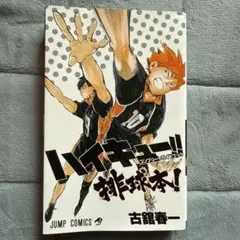 ハイキュー!! コンプリートガイドブック 排球本!