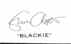 Eric Clapton Signature 補修用デカールのサムネイル