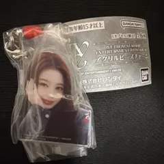 IVE アクリルビーズチャーム ガチャ ウォニョン