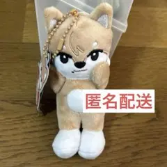 2025年最新】nexz ソゴン キーホルダーの人気アイテム - メルカリ