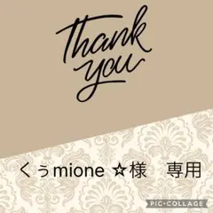 くぅmione ☆様　専用です