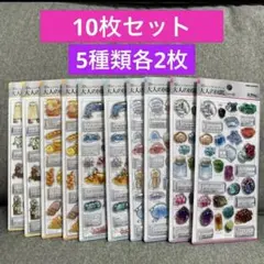 大人の図鑑シール 3D 10枚セット 5種類各2枚 まとめ売り